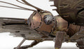 Metal Earth Steampunk Butterfly Steel Model Kit No. ME1021