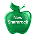 Apple Barrel Gloss Acrylic Paint: New Shamrock, 2 oz