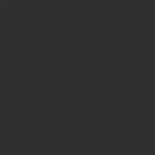 Tru-color Poly Paint  Dark Gray (Smoke) 1oz - #740