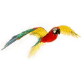Metal Earth Parrot Jubilee Macaw Color Metal Model Kit No. ICX118