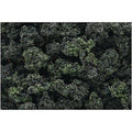Woodland Scenics Bushes Forest Blend Shaker FC1649