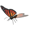 Metal Earth Monarch-Butterfly Color Steel Model Kit No. MMS123
