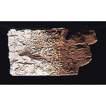 Earth Colors Burnt Umber/4oz C1222