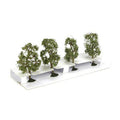Bachmann BAC32109 SS 2.5 In.- 2.75 in. Sycamore Trees