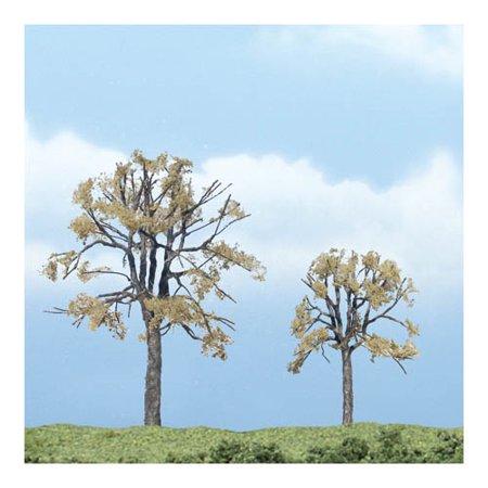 Prem Dead Elm, 3.25"/2.25" (2) Multi-Colored