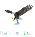 American Bald Eagle