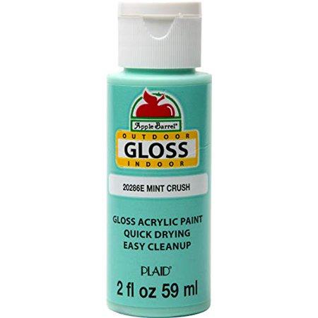 Apple Barrel Gloss Finish Acrylic Paint 2 Fl Oz. Mint Crush Color No. 20286E