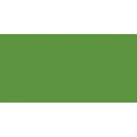 FolkArt Acrylic Paint Matte Finish 2oz-Grass Green No. 644