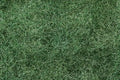 Bachmann Dark Green Foliage Fiber No. 32633