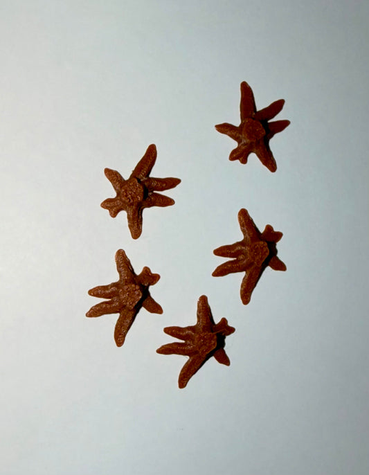 HO Scale Set of 5 Tree Stumps, Style 1, 3D Printed