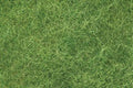 Bachmann Light Green Foliage Fiber No. 32631