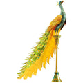 Peacock - COLOR