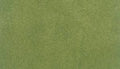 Woodland Scenics Ready Grass Vinyl Mat Spring Grass Color  50 in X 100 in No. RG5121