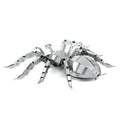Tarantula spider