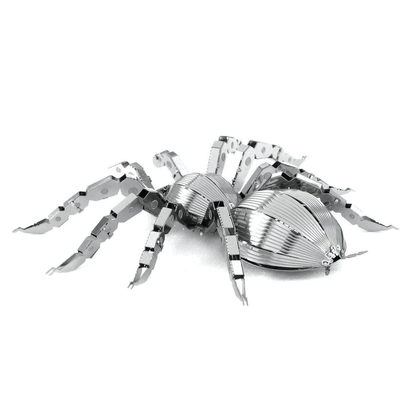 Tarantula spider