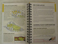Woodland Scenics Complete Guide To Model Scenery