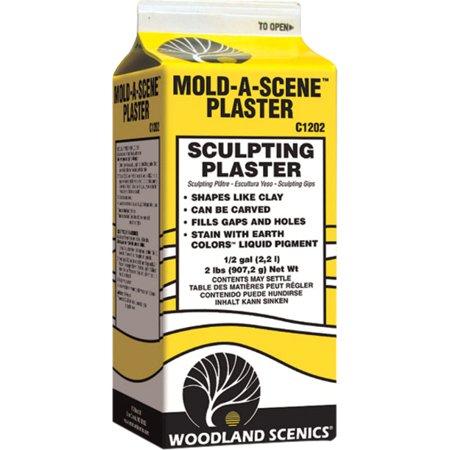 Woodland Scenics WS 1202 Mold-A-Scene Plaster 1-2 gal