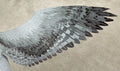 Metal Earth Harry Potter - Buckbeak Steel Model Kit No. MMS452