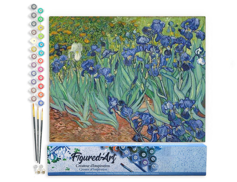 Paint by numbers - Van Gogh Iris: Without frame, 16"x20"