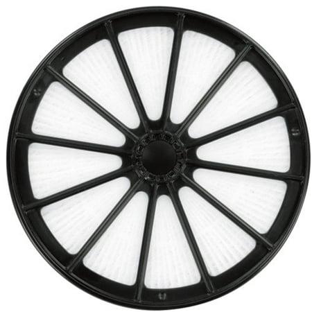 Bissell 48G7 Healthy Home Post Motor Filter OEM