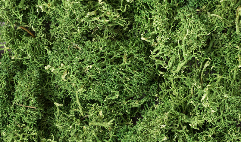 Woodland Scenics Lichen Medium Green No. L163